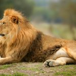 blog4