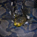 blog9